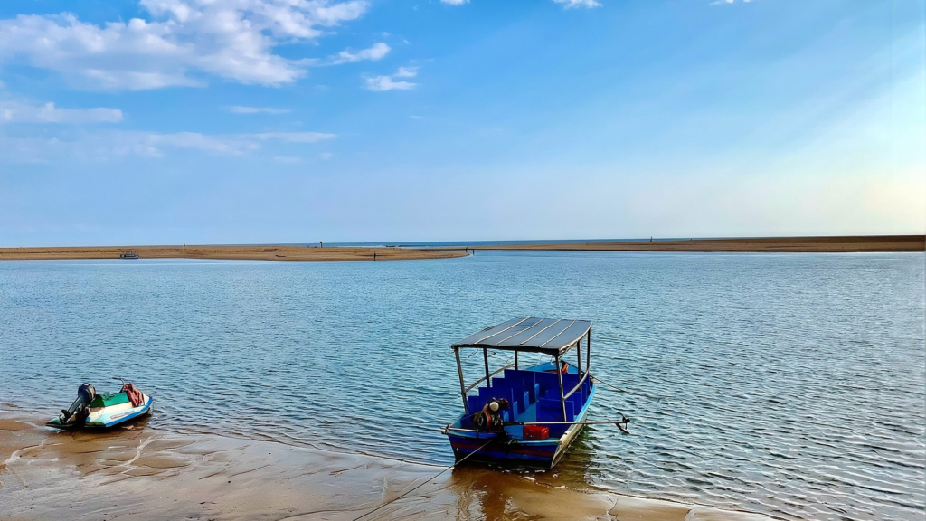Boats moored at Chandrabhaga Beach near Konark | Things to do in Konark