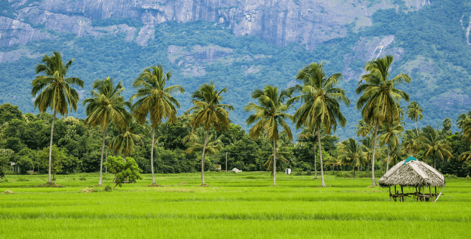 Documents you require min scaled