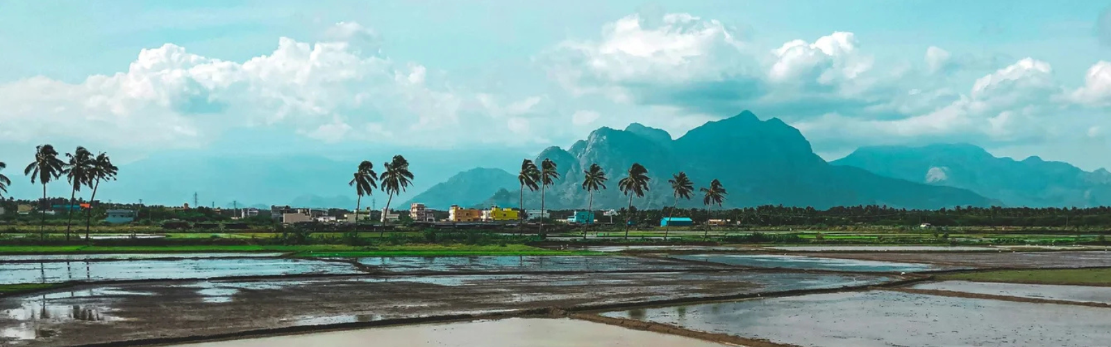 How We Make It happen