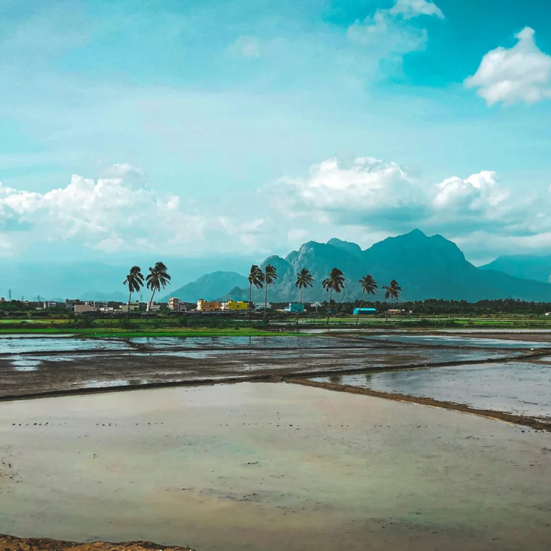 How We Make It happen