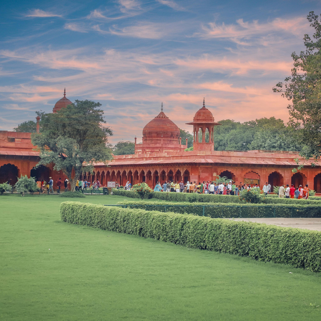 Immersive Trips Contact Us