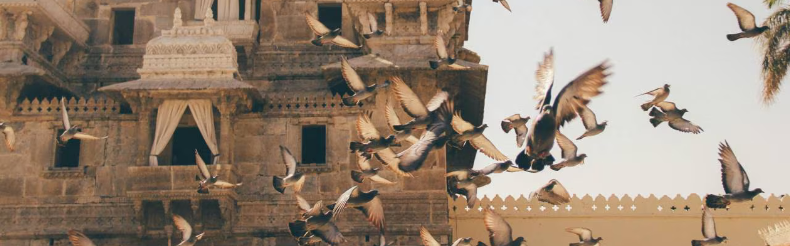 Immersive Trips Frequently Asked Questions