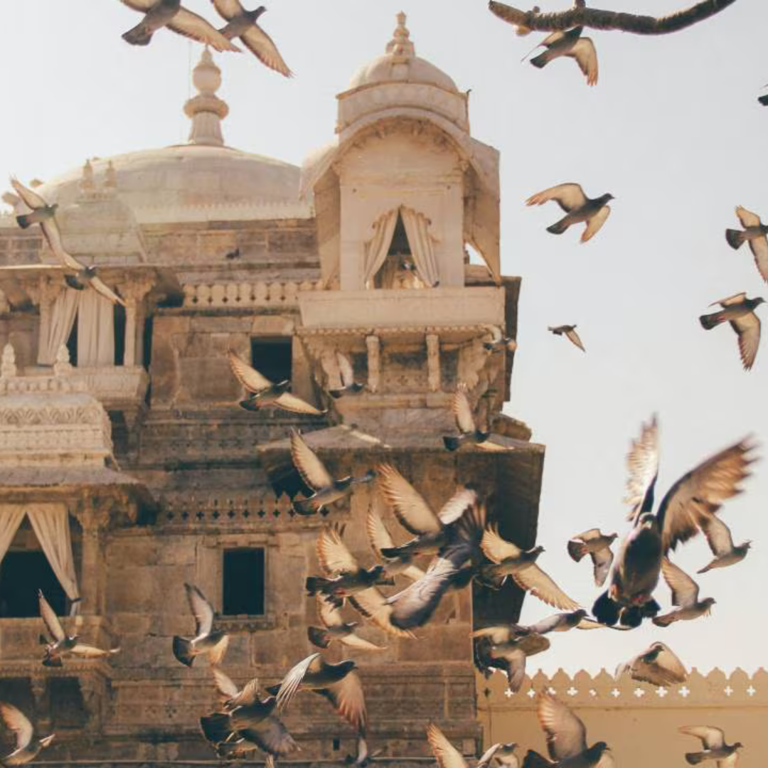 Immersive Trips Frequently Asked Questions