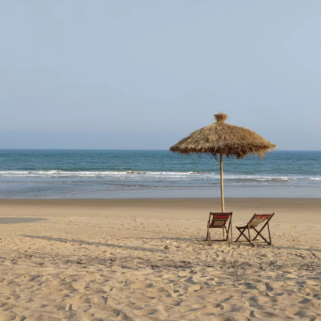 Odisha Tour Packages - Immersive Trips, Best Travel Company in India