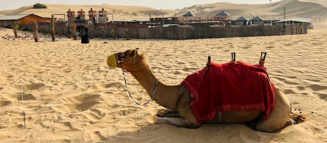 Offbeat Places in Rajasthan | Desert Safari - Immersive Trips