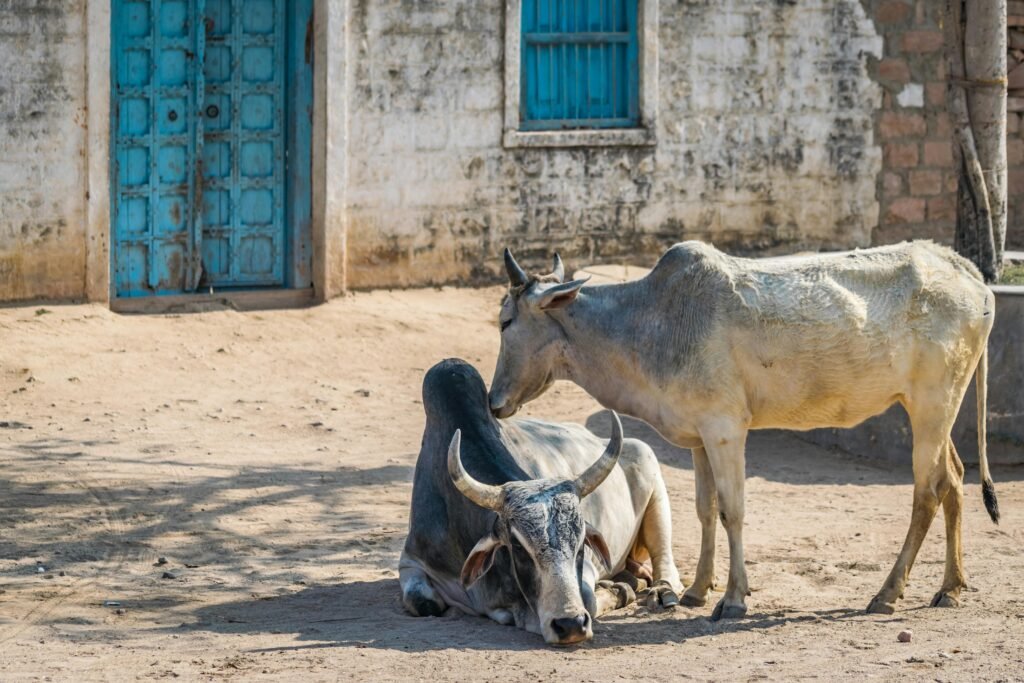 Offbeat Places in Rajasthan | Immersive Trips