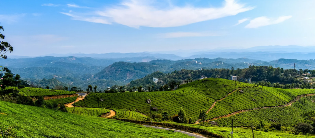 Best Things to Do in Kerala - Immersive Trips