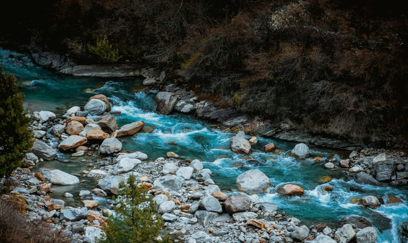 Best Time to Visit Himachal Pradesh | Immersive Trips