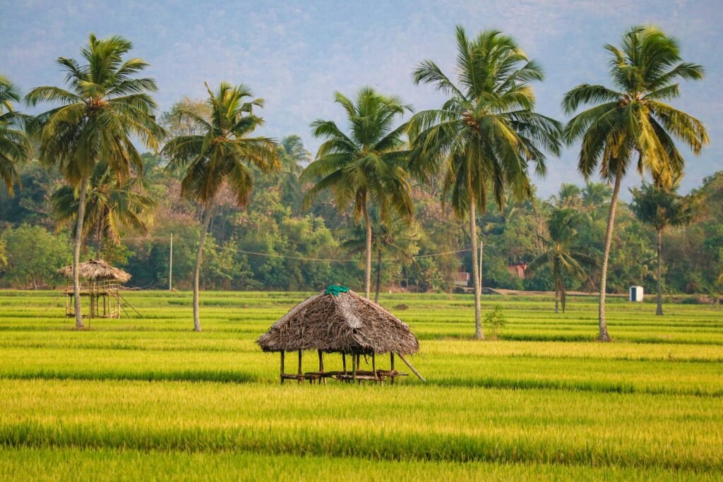 Slow Travel in Kerala: Backwaters, Hills & Coast 1 Slow Travel in Kerala: Backwaters, Hills & Coast - Immersive Trips