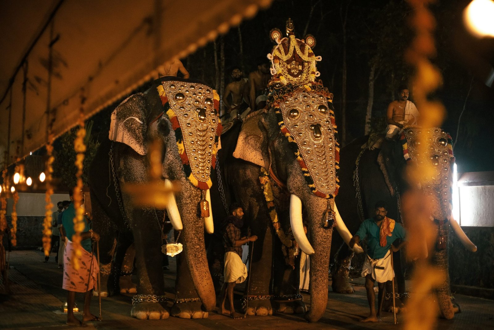 Ultimate Kerala Travel Guide: Embrace Nature, Savor Food & Enjoy Local Experiences | Immersive Trips