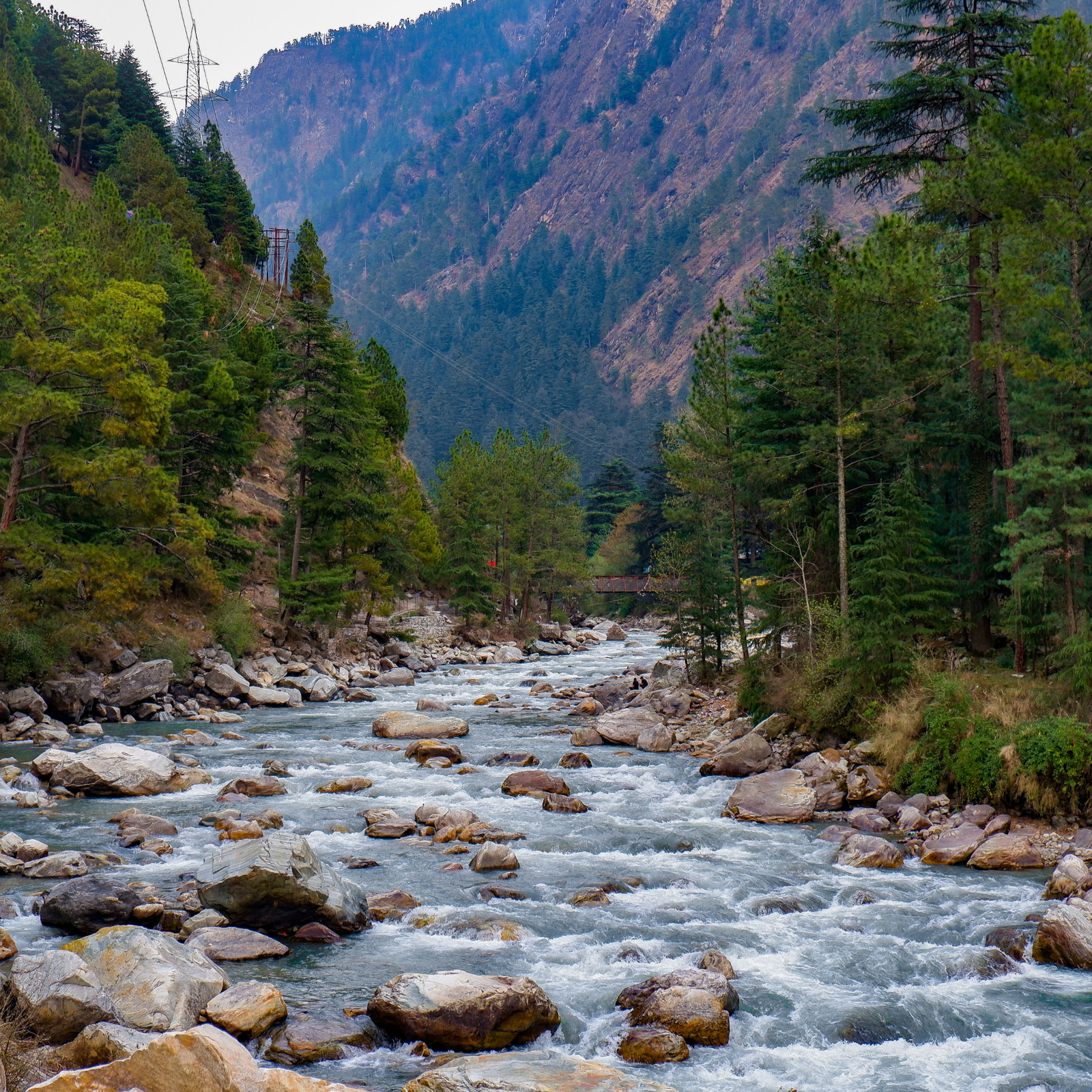 Himachal Pradesh Tour Packages from Kerala for Summer 2026 Mobile