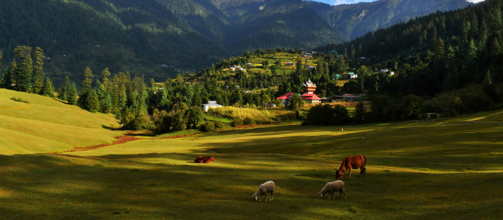 Himachal Trip from Odisha Best Itinerary Cost and Travel Guide for 2026 Desktop