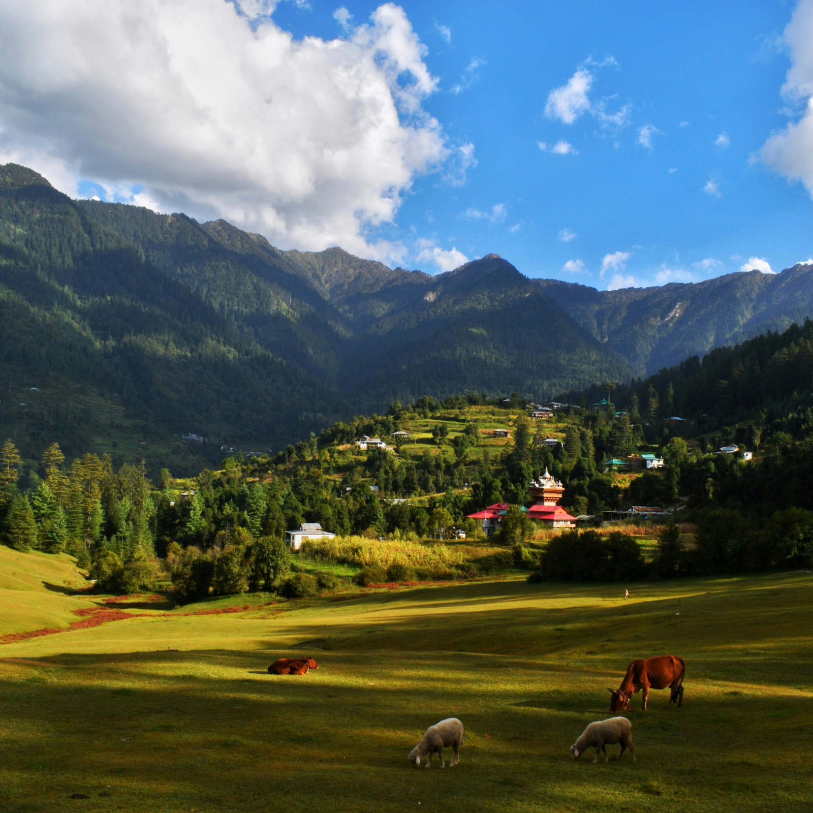 Himachal Trip from Odisha Best Itinerary Cost and Travel Guide for 2026 Mobile