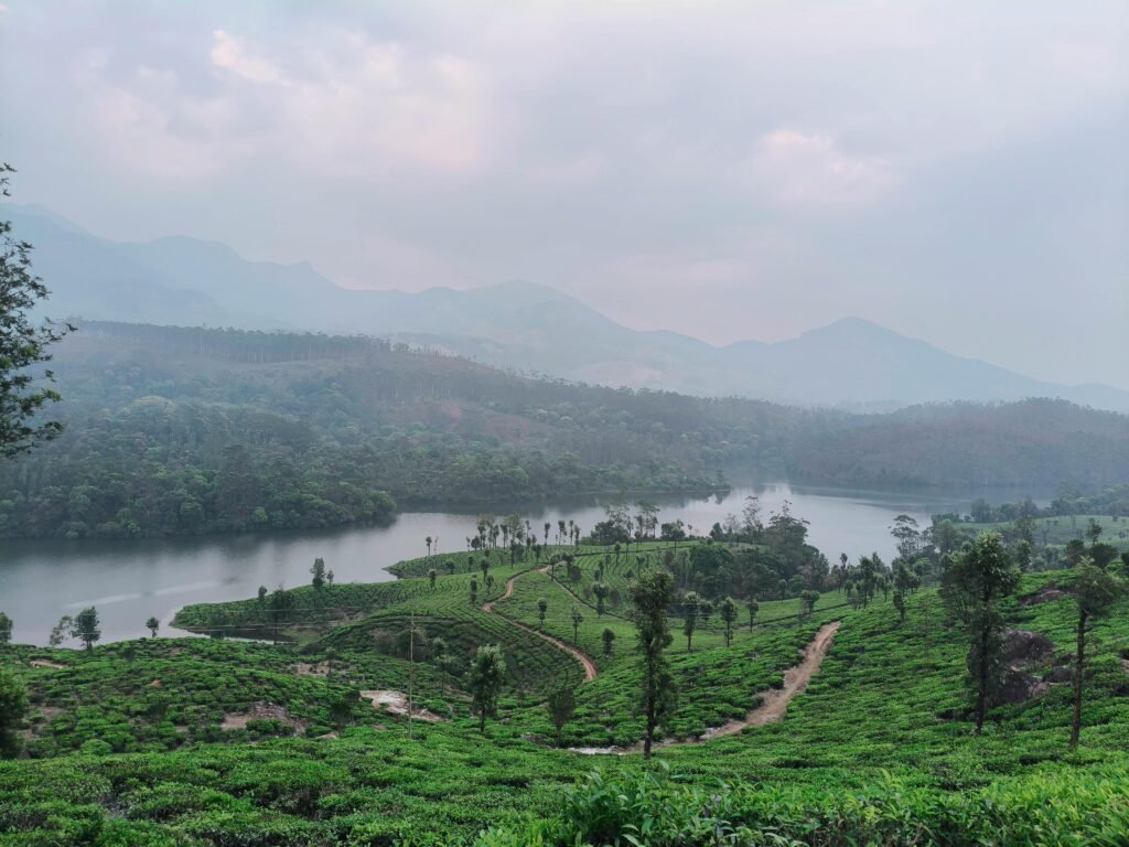Himachal vs Kerala Travel Guide: Which Destination is Right for You 1 Landscape and Natural Experience