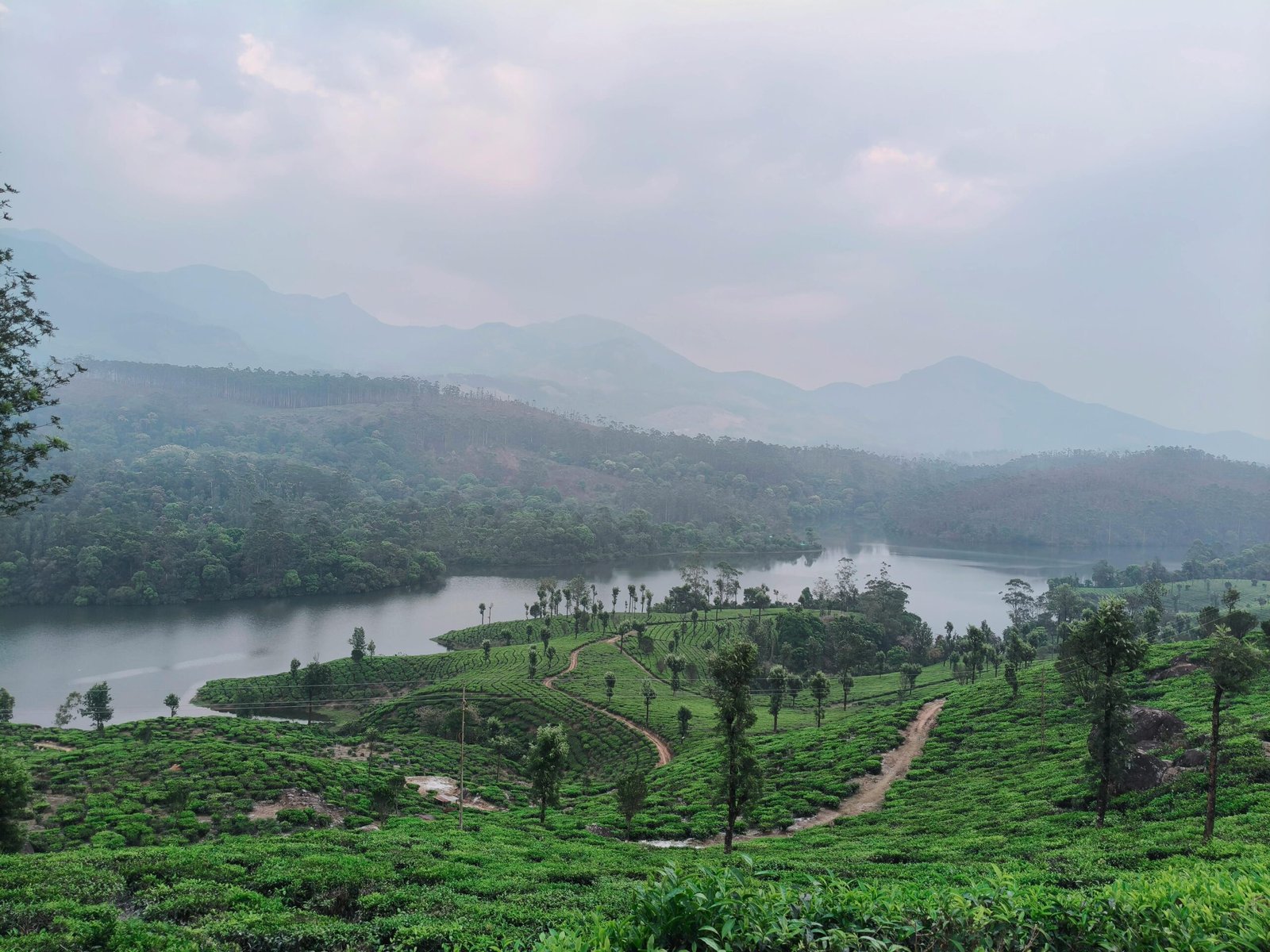 Landscape and Natural Experience scaled