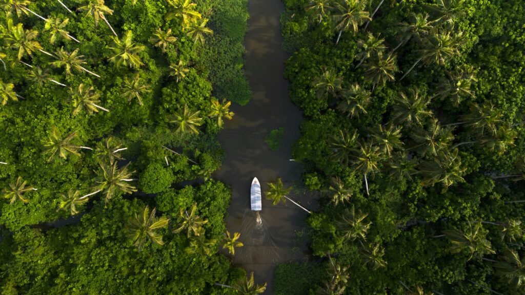Himachal vs Kerala Travel Guide: Which Destination is Right for You 4 Himachal vs Kerala Travel Guide: Which Destination is Right for You