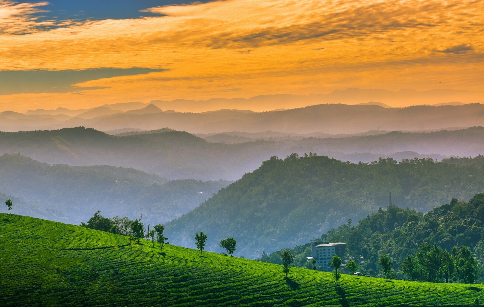 Which Destination is Right for You scaled