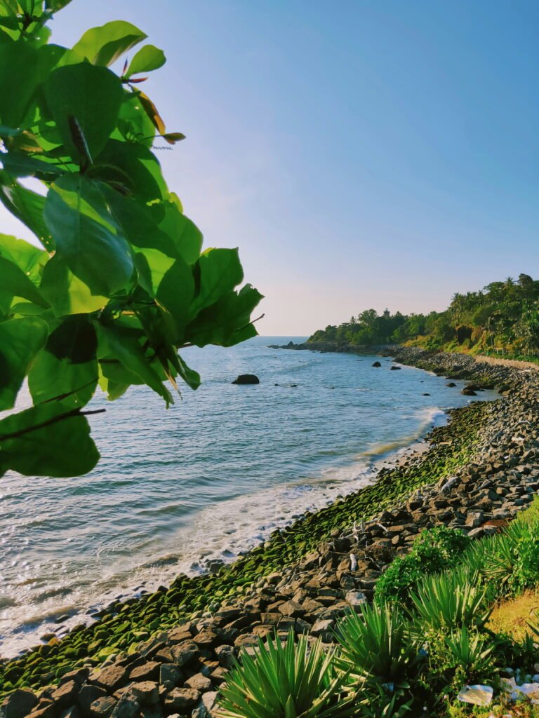 Places to Visit in Kannur for Beaches, Culture and Experiences | Immersive Trips