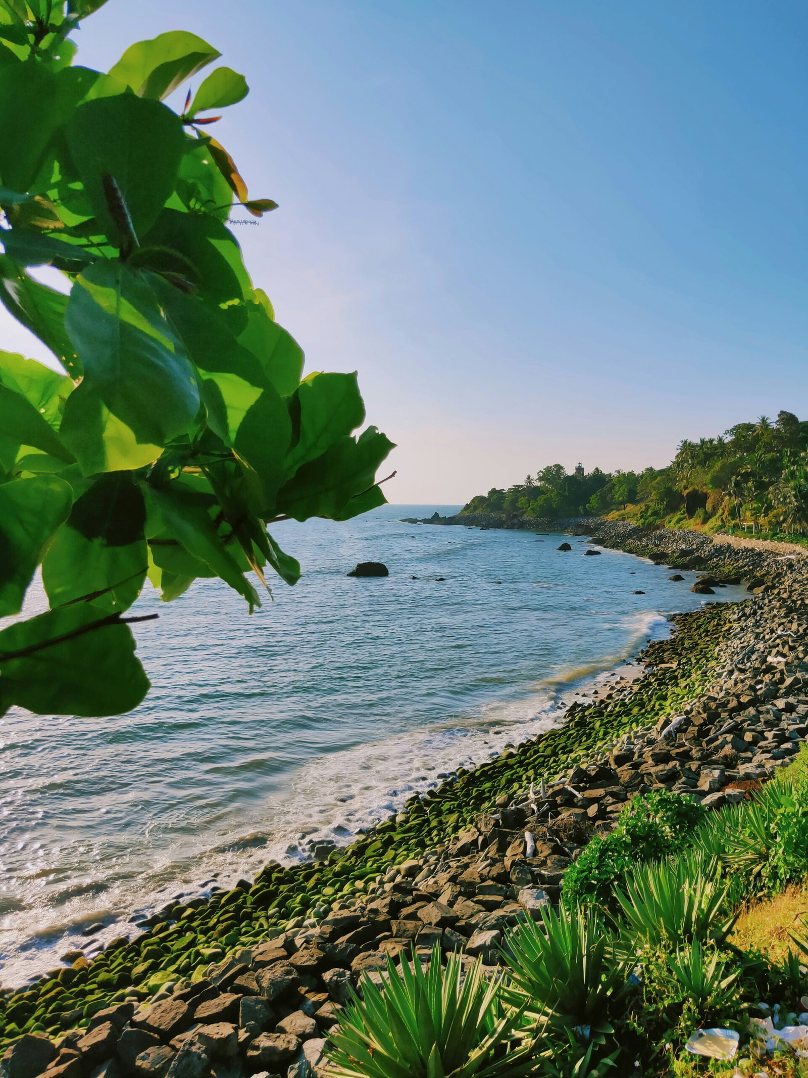 Places to Visit in Kannur for Beaches, Culture and Experiences | Immersive Trips