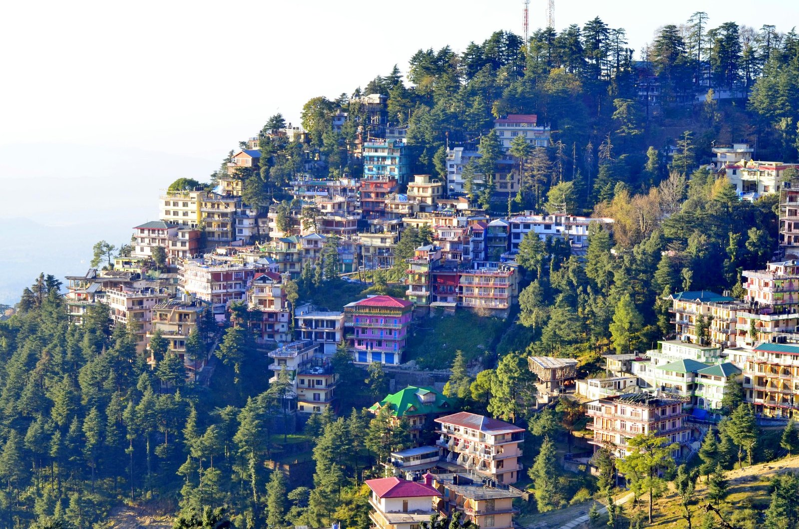 Himachal Pradesh Tour Package From Chennai | Shimla Manali Trip