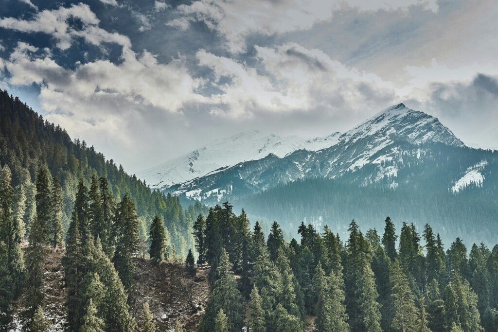 Himachal Pradesh Tour Package from Chennai: Itinerary, Cost and Travel Guide for Summer 2026 14 H3 Shimla Where the Mountains Begin