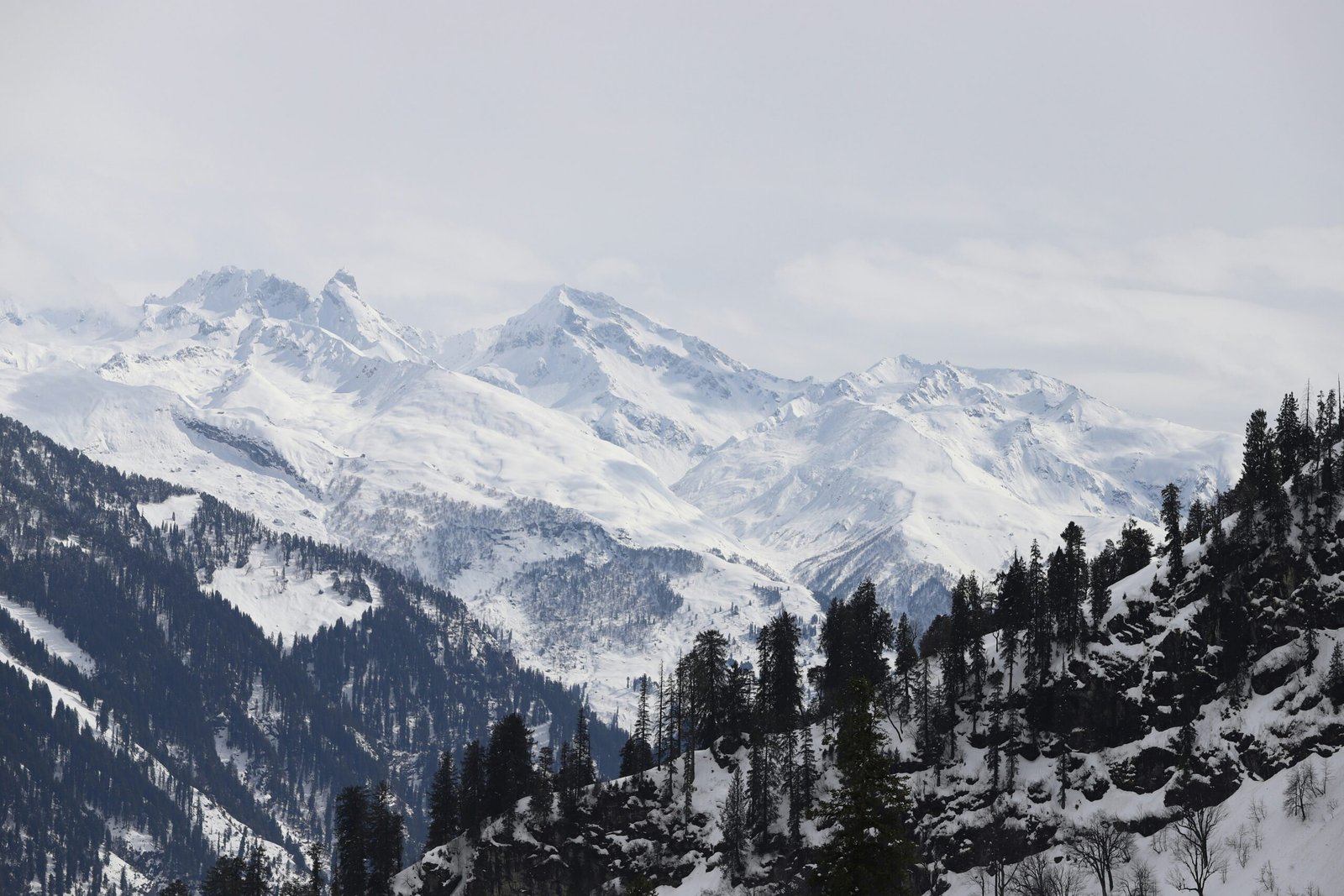 Himachal Pradesh Tour Package From Chennai | Shimla Manali Trip