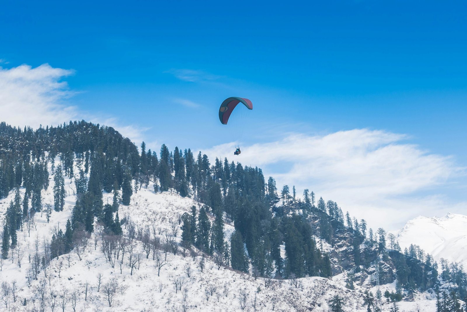 Himachal Pradesh Tour Package From Chennai | Shimla Manali Trip