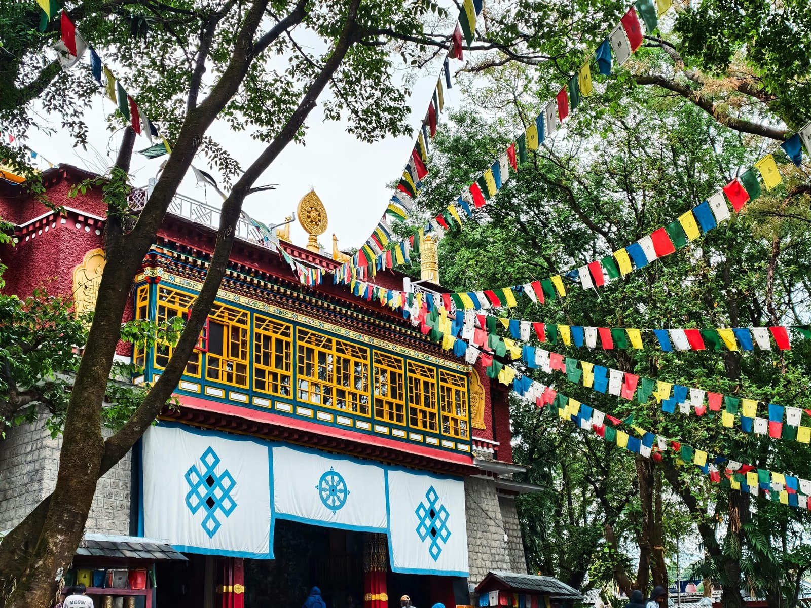 Himachal Pradesh Tour Package From Chennai | Shimla Manali Trip