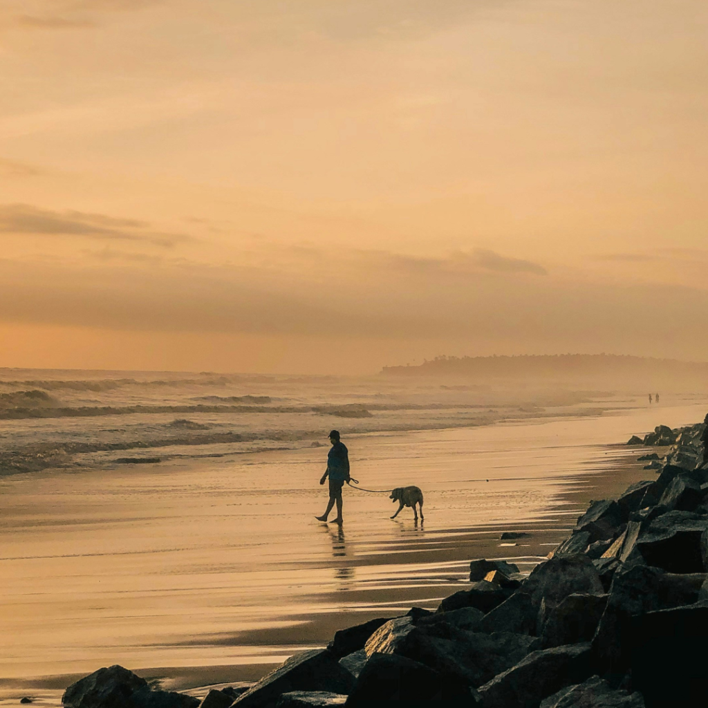 Places to Visit in Kannur for Beaches Culture and Local Experiences mobile banner