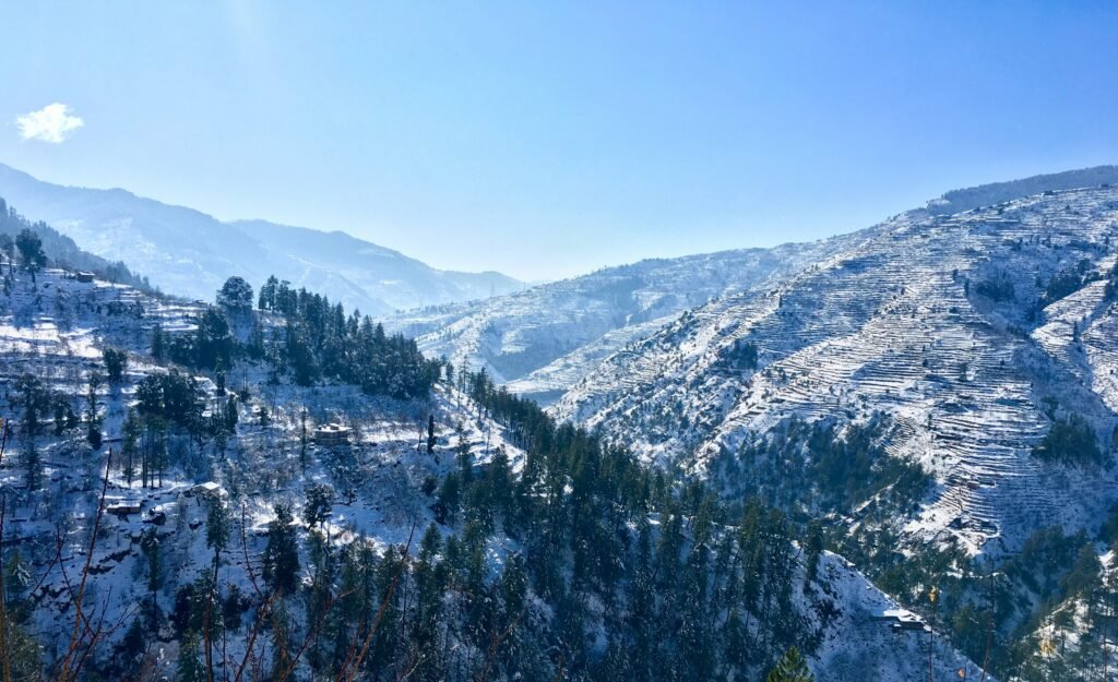 Shimla or Manali: Which Is Better | Immersive Trips