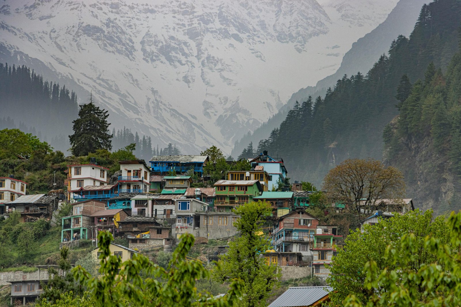 Shimla or Manali: Which Is Better | Immersive Trips