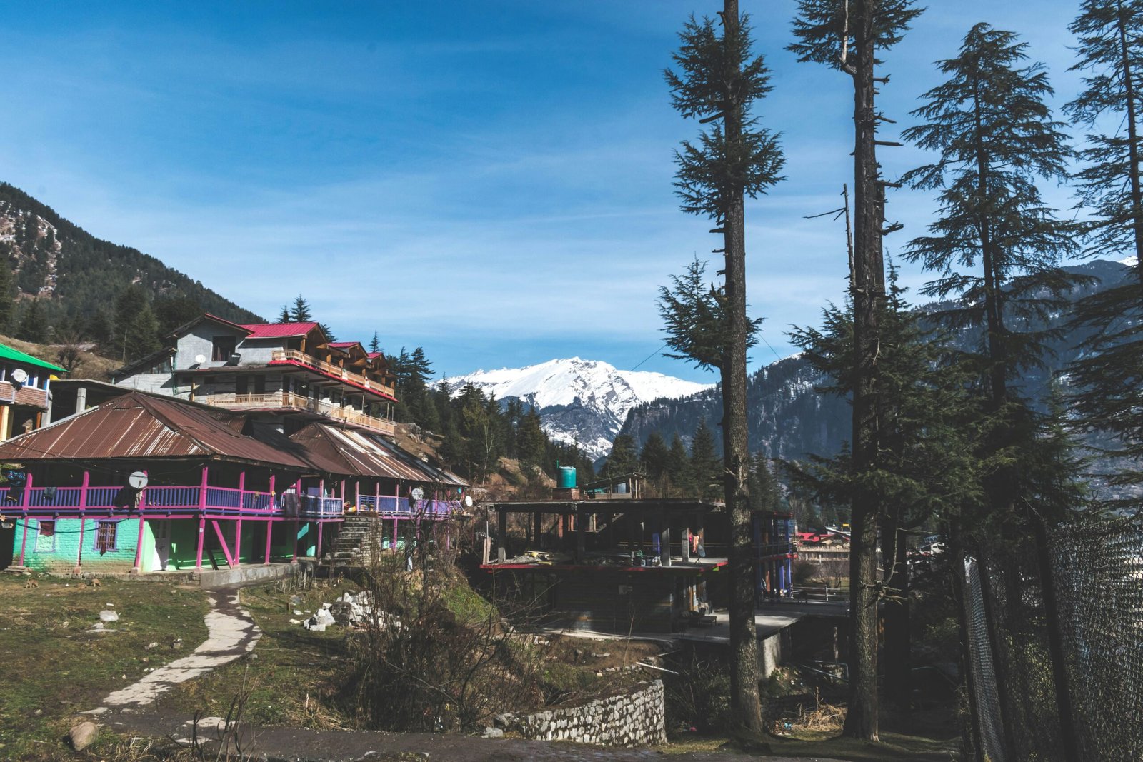 Shimla vs Manali| best Himachal trip package - Immersive Trips