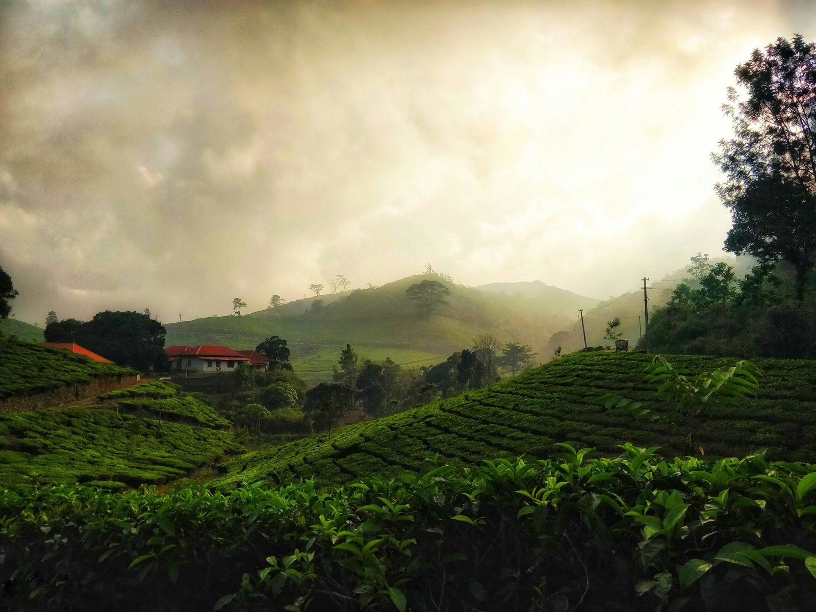 Family Tour Packages in India | Immersive Trips