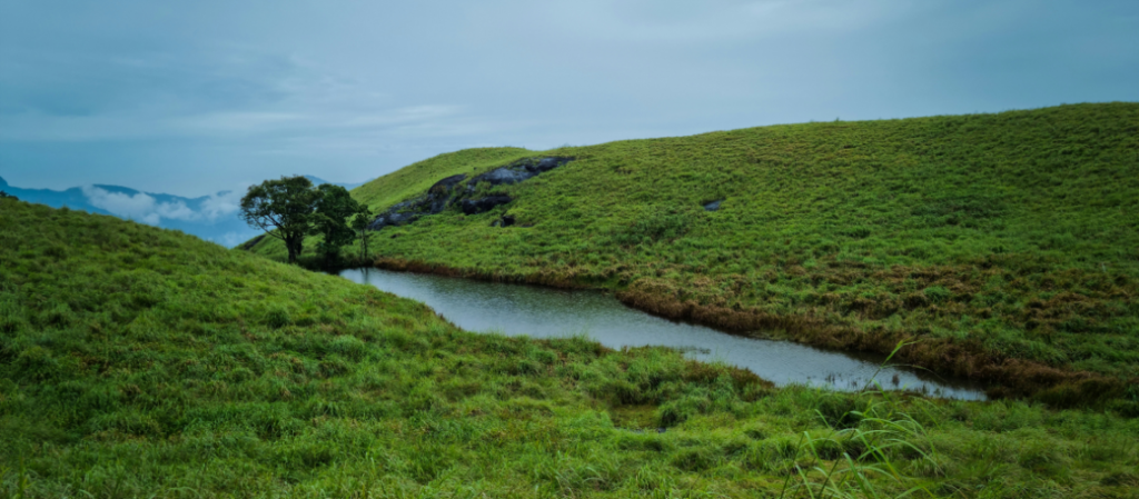 Things to Do in Wayanad: Best Experiences in Kerala | Immersive Trips