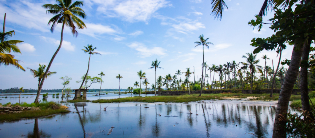 Family Tour Packages in Kerala | Immersive Trips