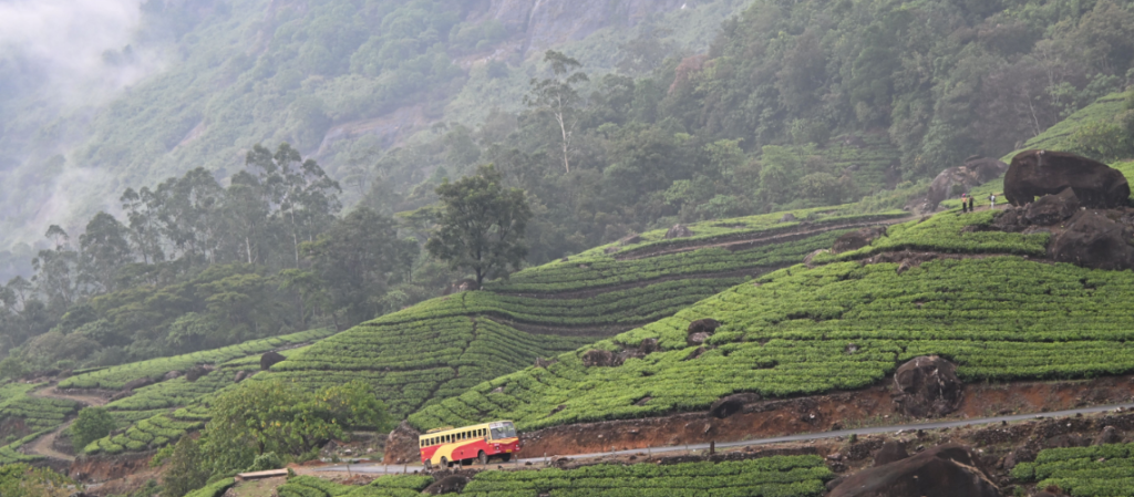 Kerala Monsoon Travel | Immersive Trips