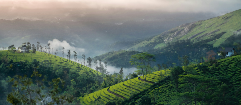 Offbeat Places in Kerala for Immersive Travellers 4 Offbeat places in Kerala for immersive travellers | Immersive Trips