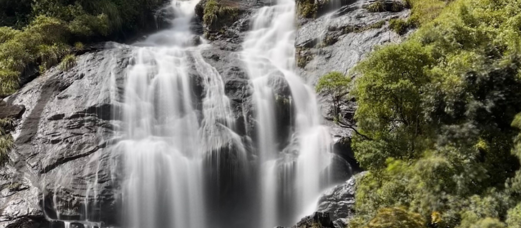 Places to Visit in Munnar: A Complete Guide | Immersive Trips