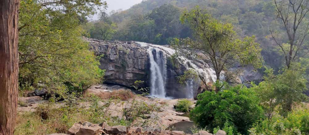 Things to Do in Munnar: A Guide Beyond the Viewpoints