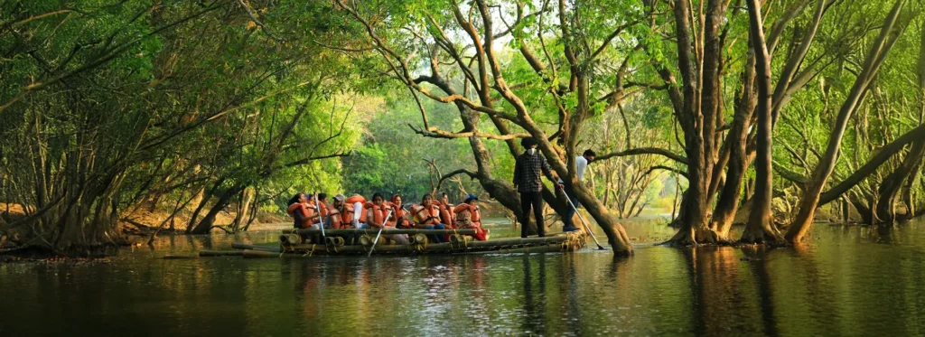 bamboo rafting