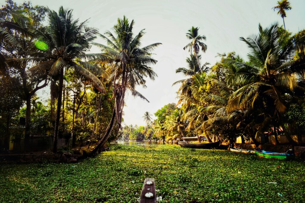 Places to Visit in Alleppey | Immersive Trips