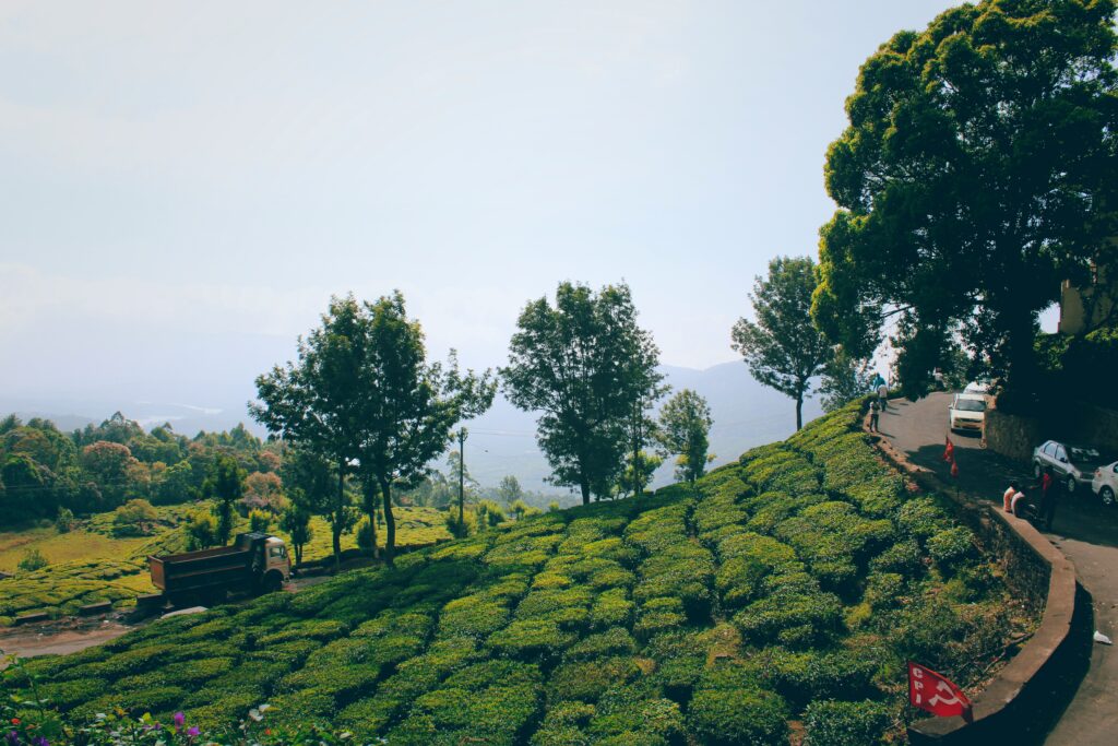 daniel gynn M FpXox8vTM unsplash