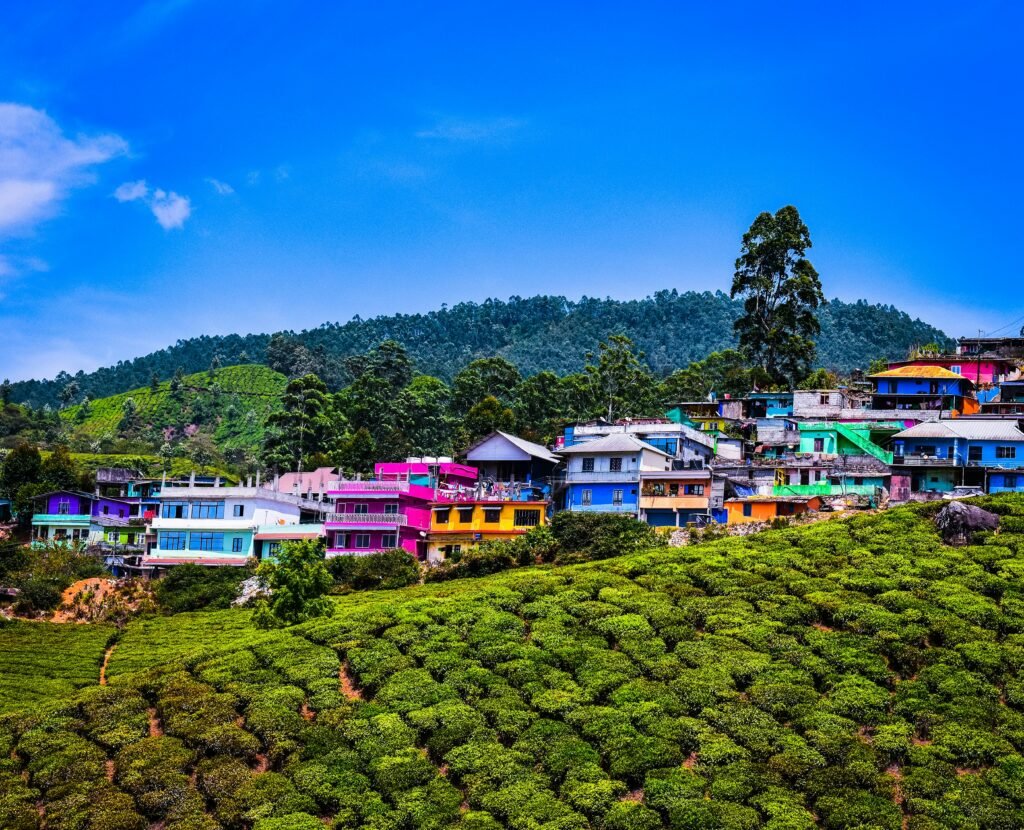 gaurav kumar lJgUTYYrCy4 unsplash