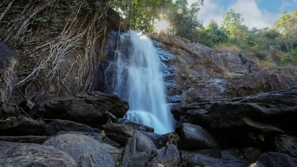 Places to Visit in Wayanad: A Complete Guide to the District's Best Sights 4 image 2