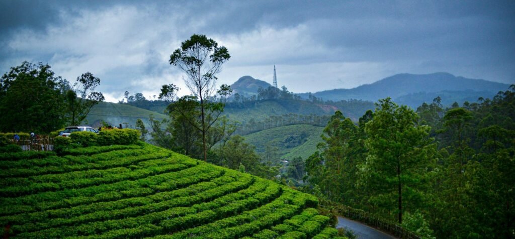 Places to visit in Kerala - Guide By Immersive Trips 1 image1