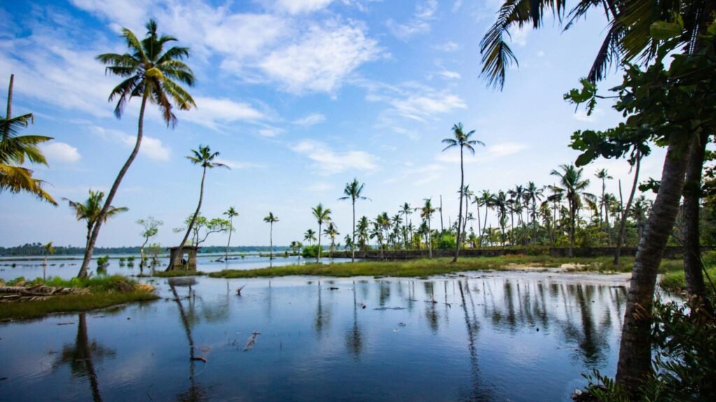 Kerala trip cost: budget, mid-range, and premium planning 3 image1 3