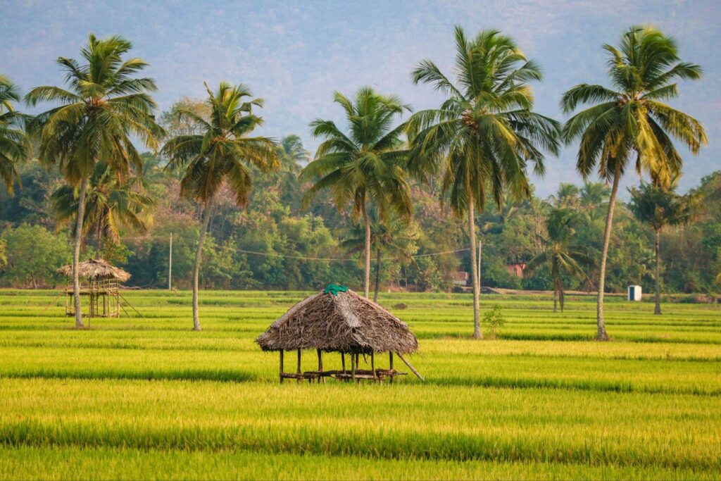 How to Reach Kerala: Flights, Trains & Road Routes 2 image2 1