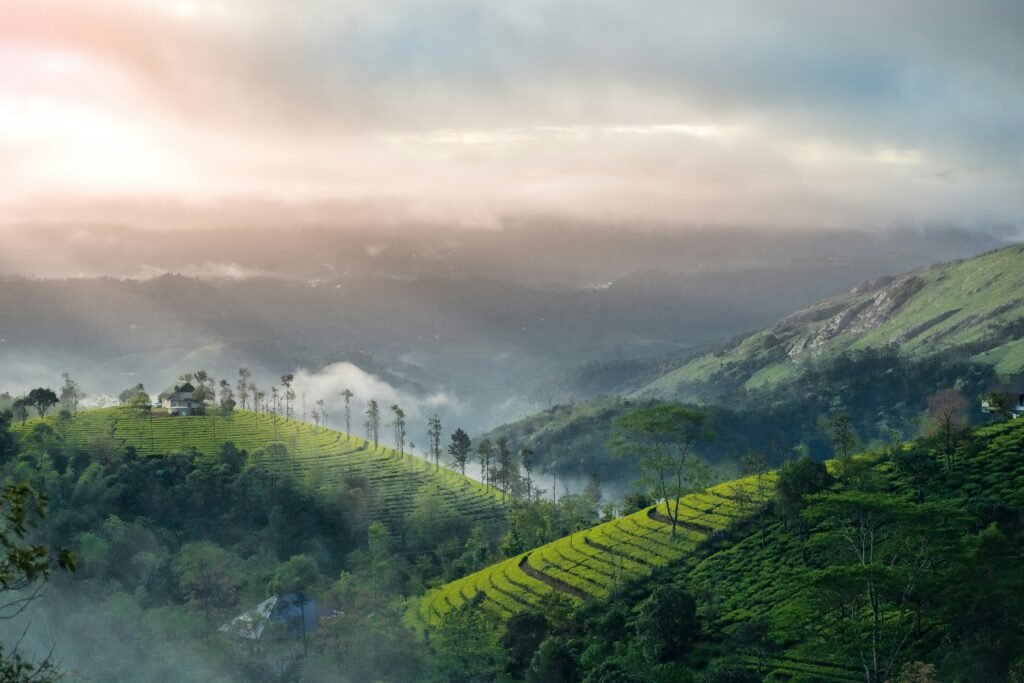 nandhu kumar VJRTZNYNE4E unsplash