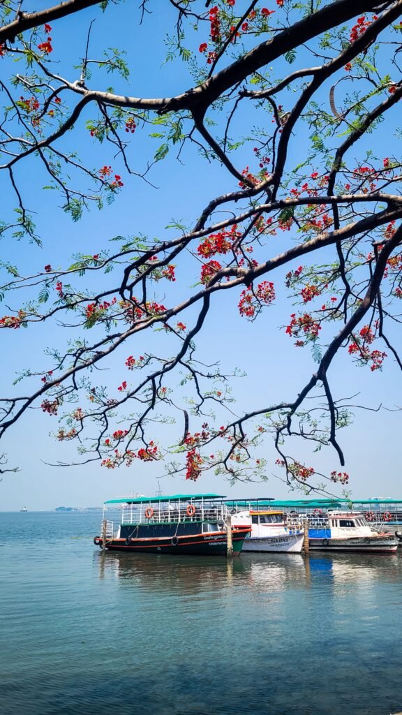 Best Things to Do in Kochi: Local Travel Guide for Curious Travellers 2 Best Things to Do in Kochi: Local Travel Guide for Curious Travellers - Immersive Trips