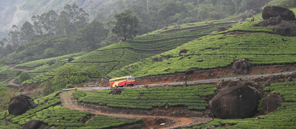 How to Reach Kerala | Flights, Trains & Road Routes